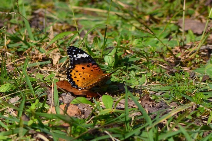 b0288942_18514830.jpg
