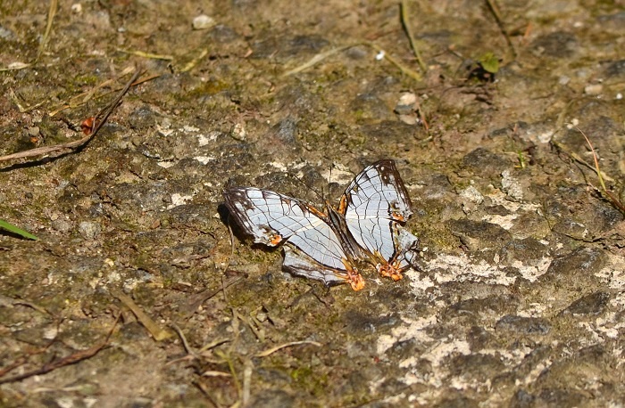 b0288942_1924886.jpg