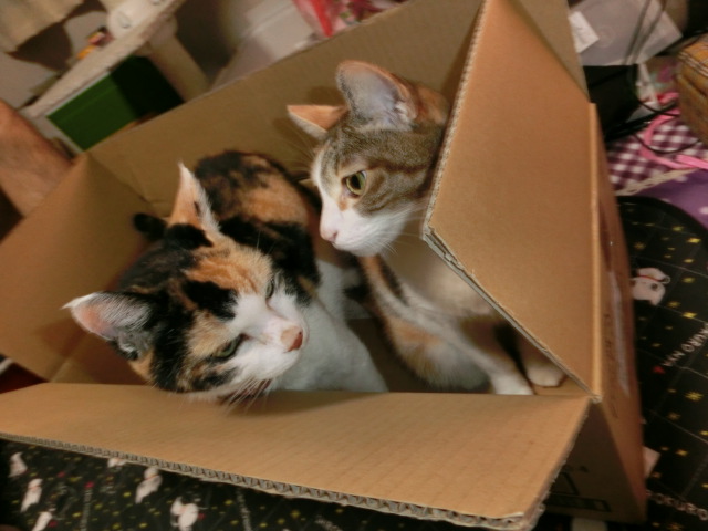 c0194042_20424865.jpg