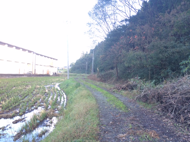 f0342542_08564367.jpg