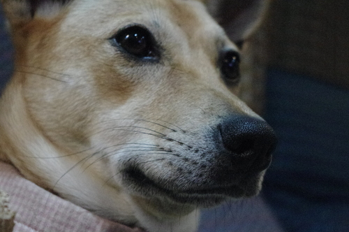 c0266644_003169.jpg