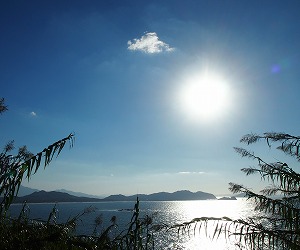 c0171349_1193022.jpg