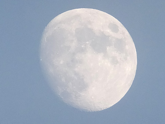 c0039153_0202683.jpg