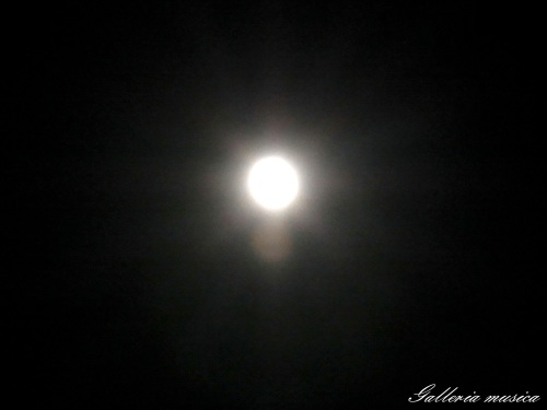 f0351853_21092548.jpg