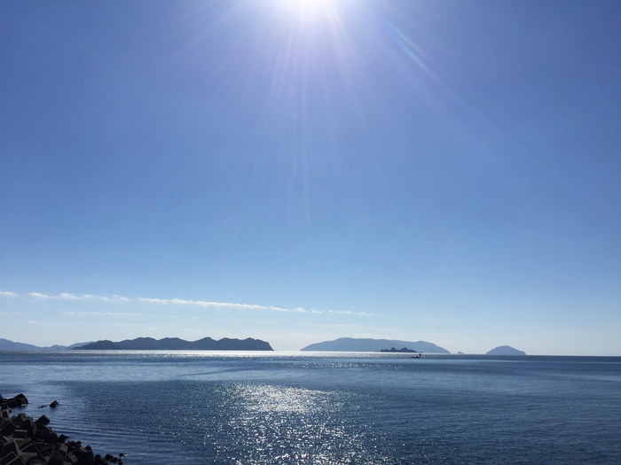 b0002156_944734.jpg