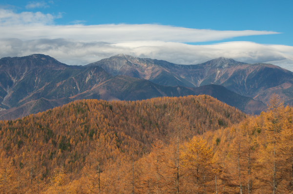 b0320758_21155128.jpg