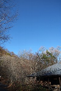 f0035962_9521859.jpg