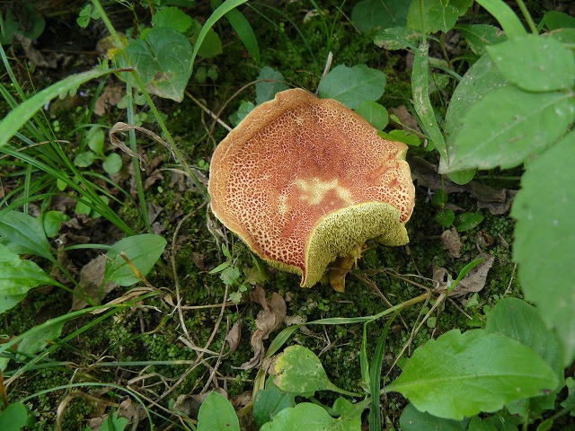 d0019074_9141368.jpg