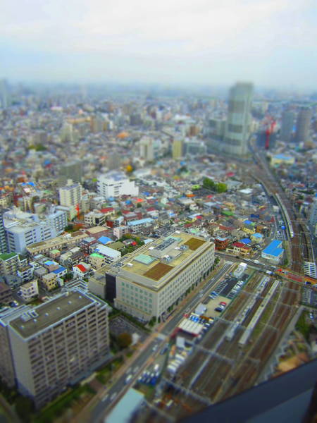 d0264176_19485757.jpg