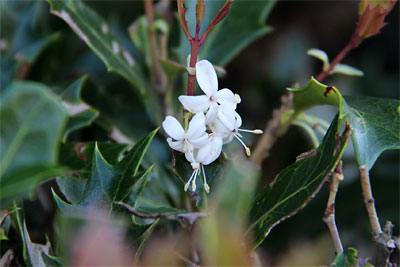 c0152779_9465362.jpg