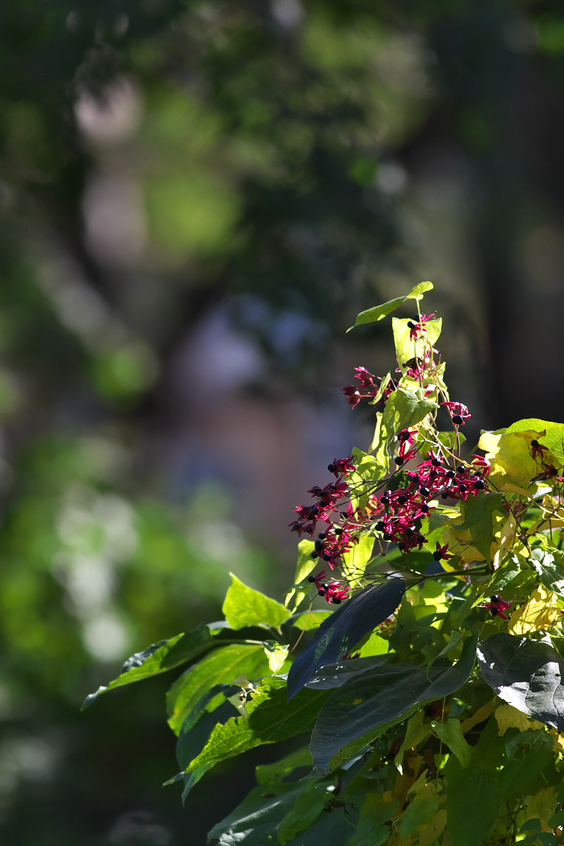a0083081_1356124.jpg