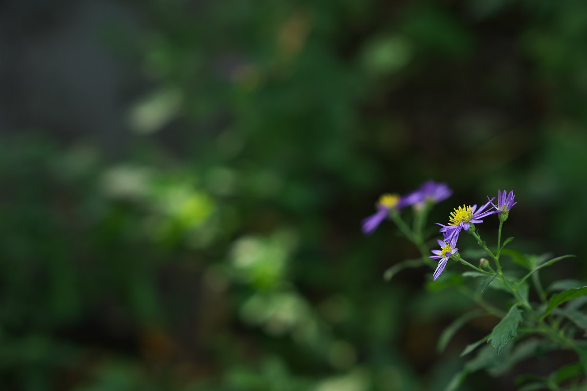 a0083081_1357378.jpg