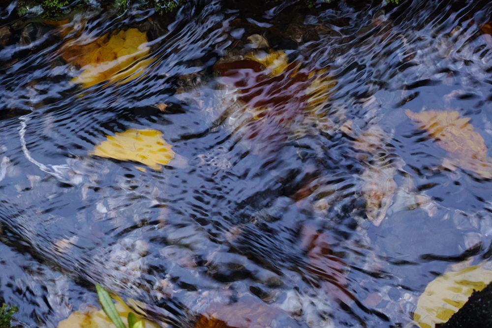 c0059485_23214942.jpg