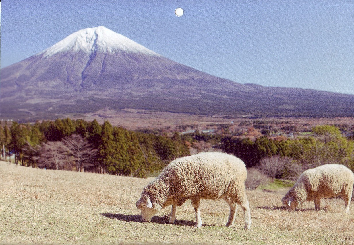 a0034487_1653515.jpg