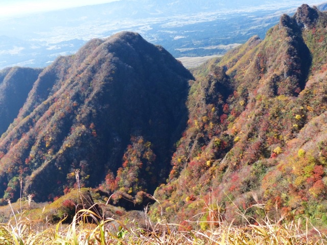 f0357487_2159573.jpg