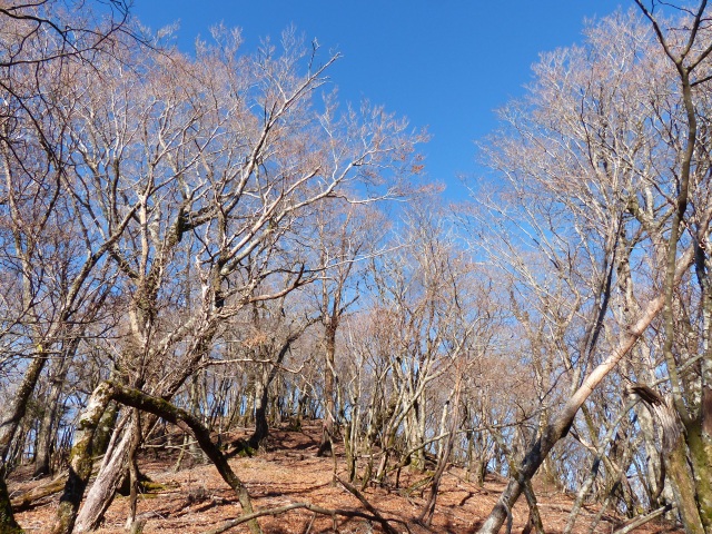 f0357487_22455010.jpg