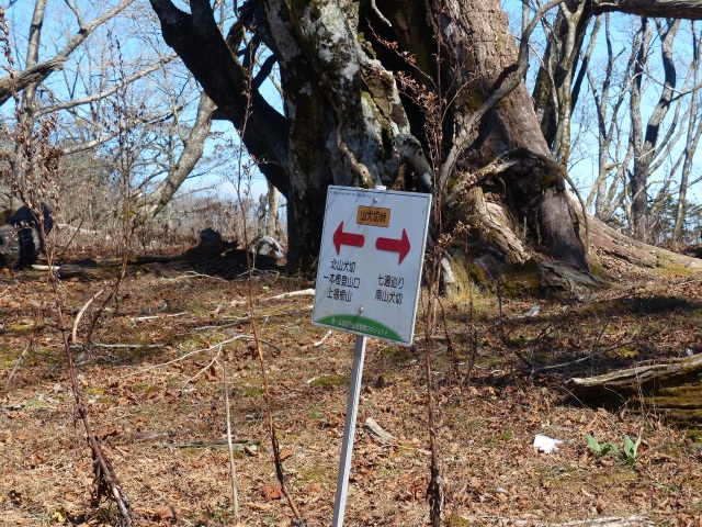 f0357487_22464960.jpg