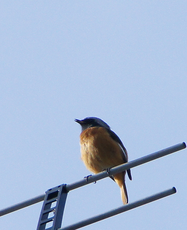 c0139591_10170100.jpg