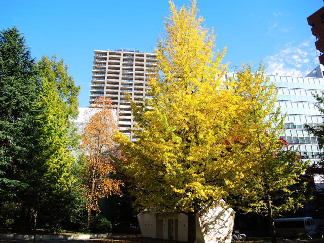 f0100593_16004140.jpg