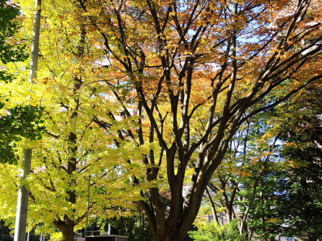 f0100593_16010491.jpg