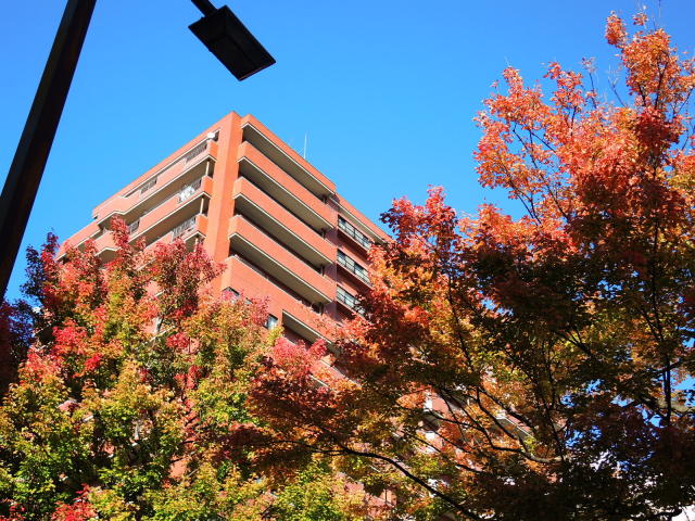 f0100593_16010926.jpg