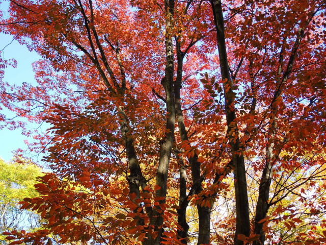 f0100593_16314659.jpg
