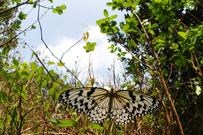 a0277496_7501910.jpg