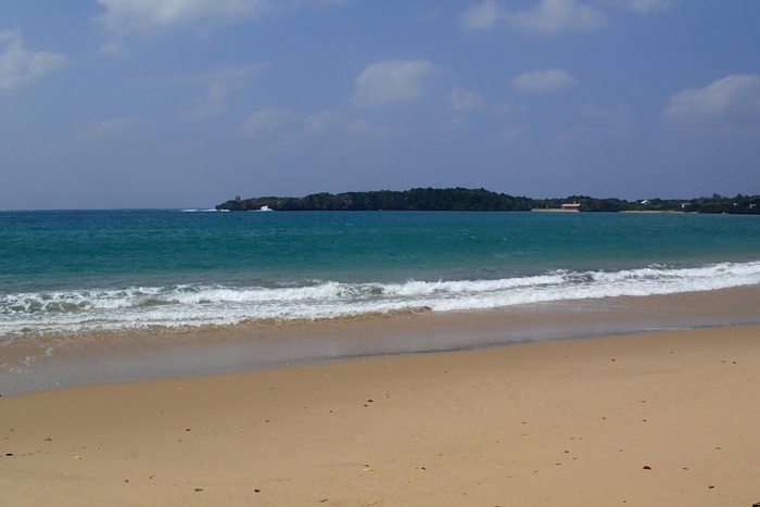 a0277496_7512447.jpg