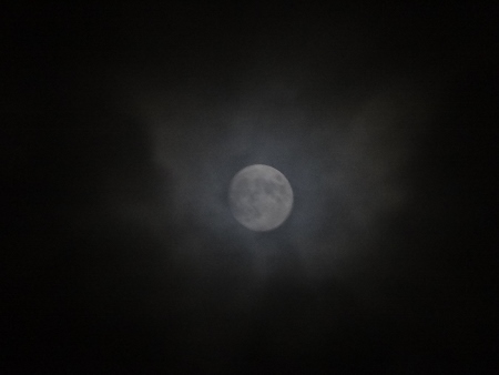 a0125598_21145466.jpg