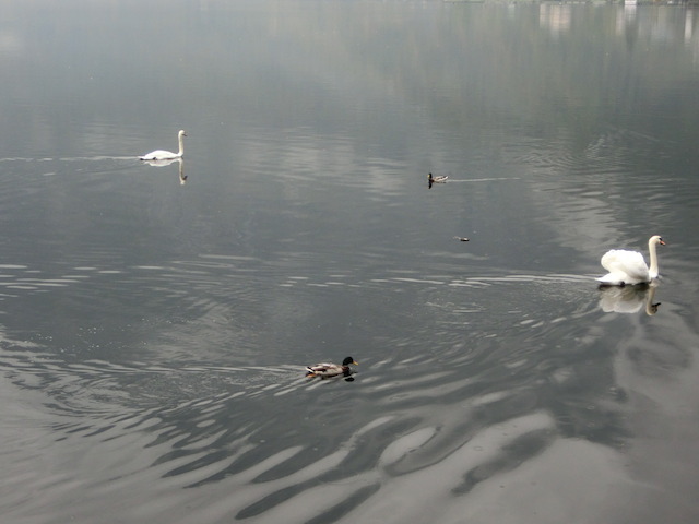 c0193304_6461110.jpg