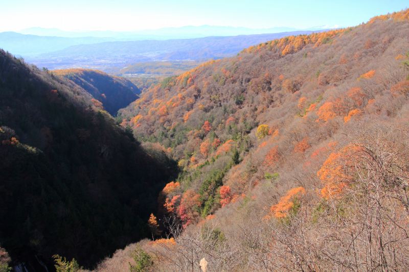 a0188405_21464839.jpg