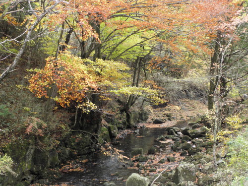 b0342516_17060613.jpg