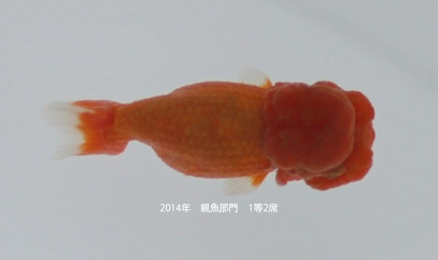 c0162817_1091222.jpg