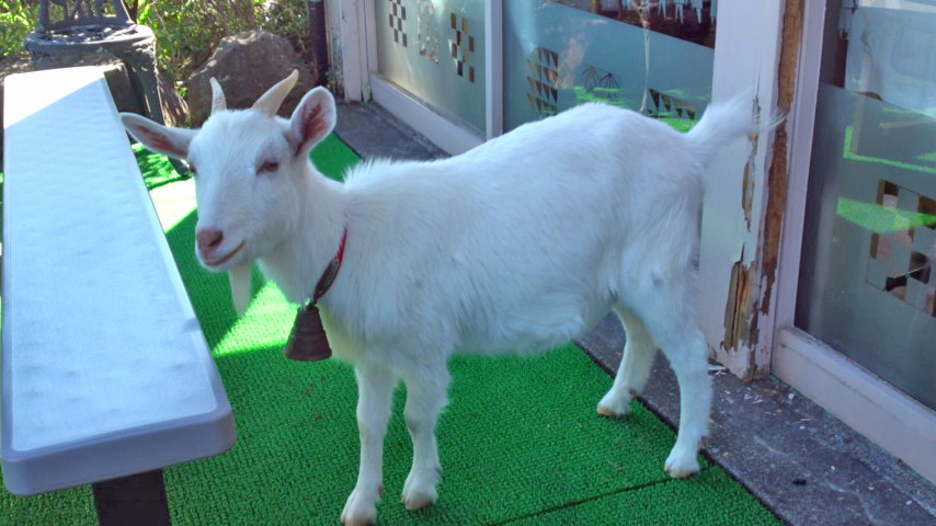 d0221319_1650054.jpg