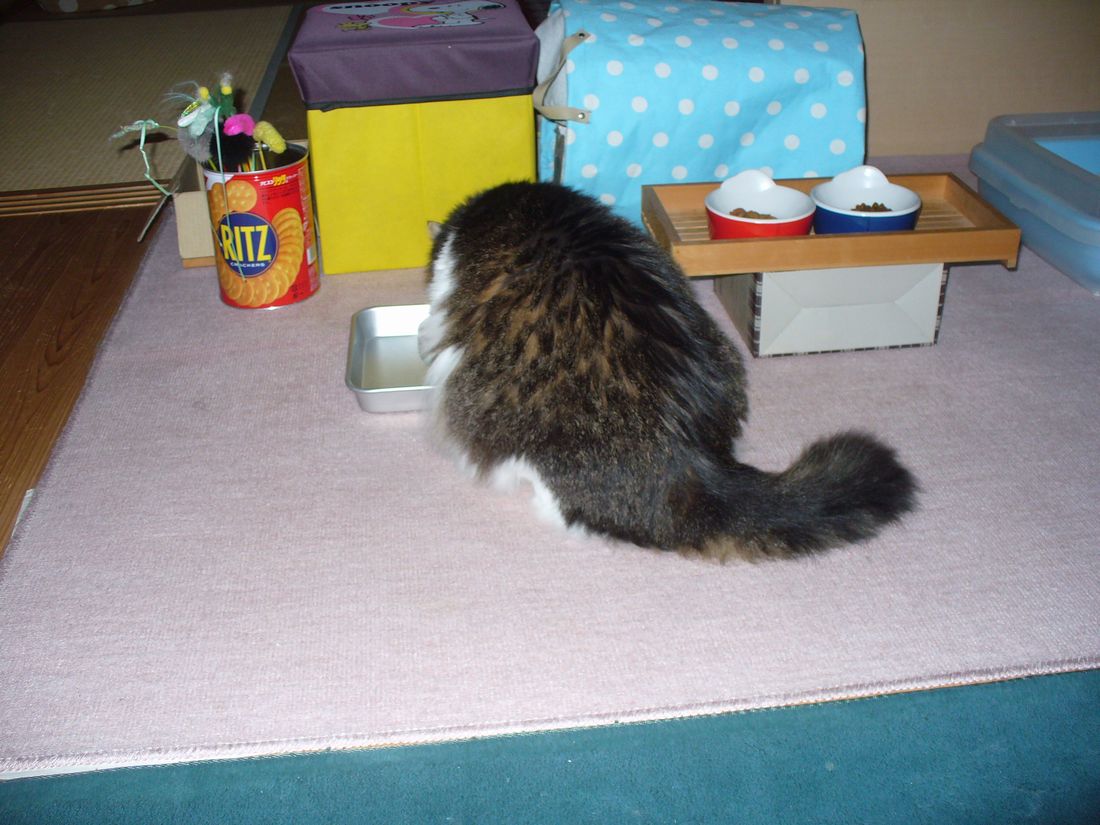f0346527_22252261.jpg