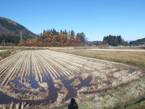 f0118332_234495.jpg