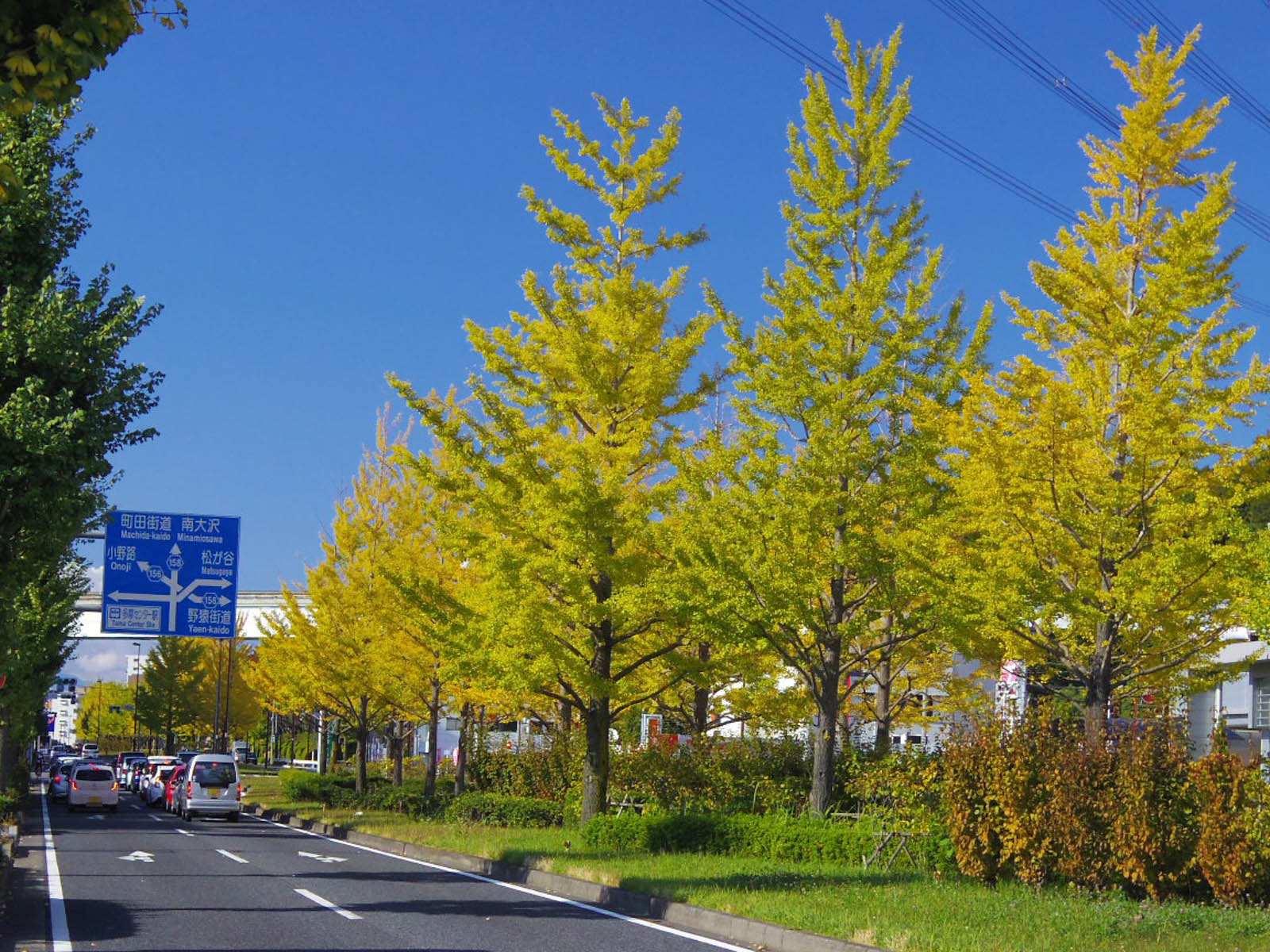 f0300637_22531430.jpg