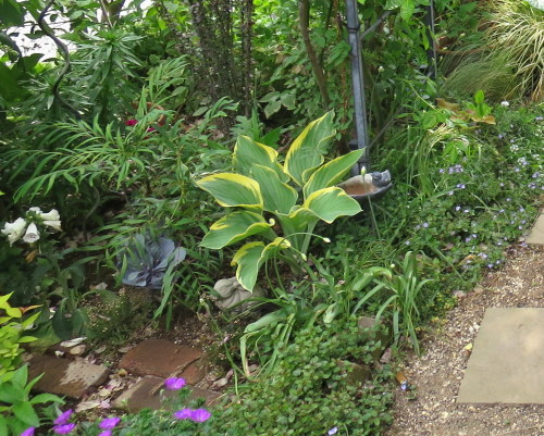 b0178339_18364753.jpg