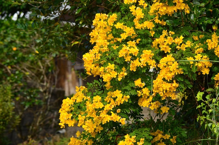 b0288942_18383868.jpg