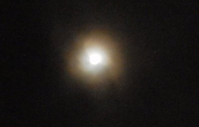 a0142343_105915100.jpg