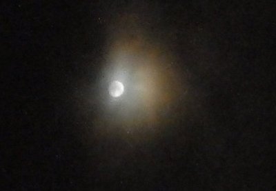 a0142343_10593031.jpg