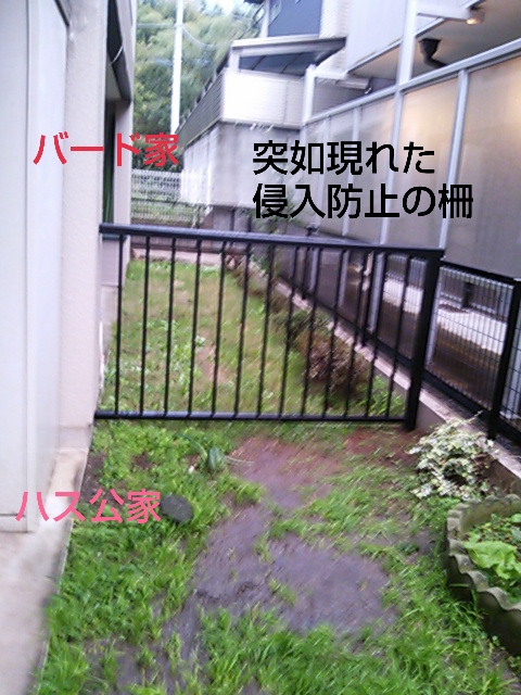 e0121548_2018414.jpg