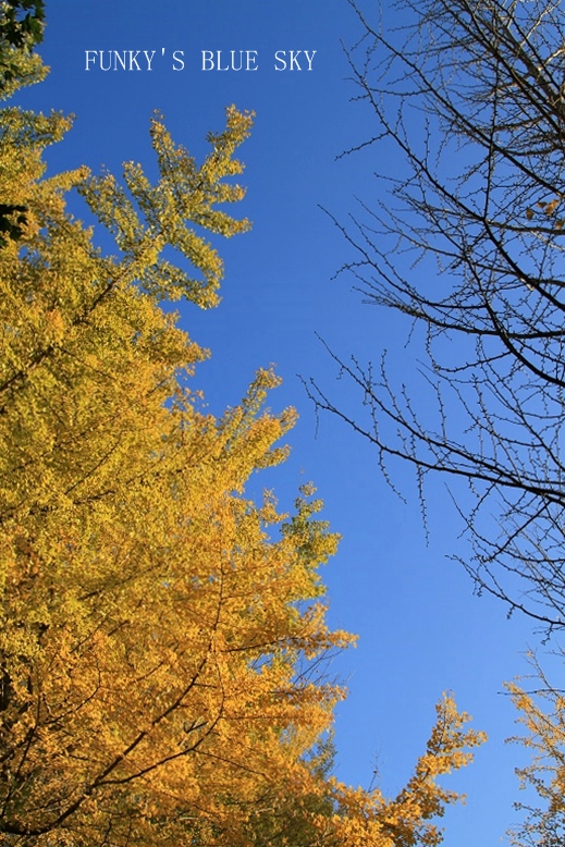 c0145250_19532617.jpg