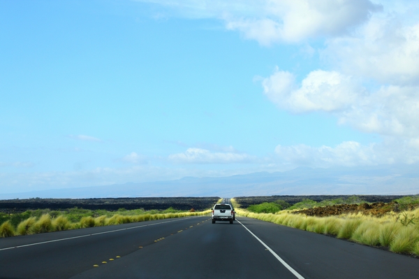 a0090451_14591463.jpg