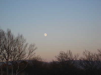 b0159557_17252264.jpg