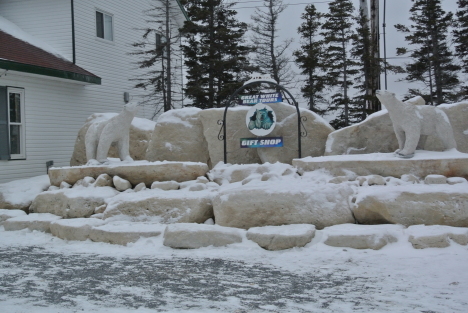 c0080861_12353246.jpg