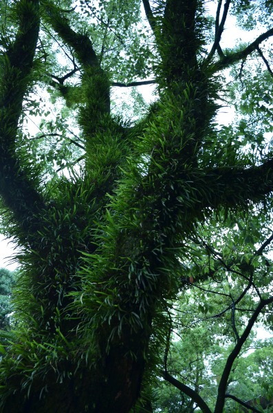 f0297861_2112580.jpg