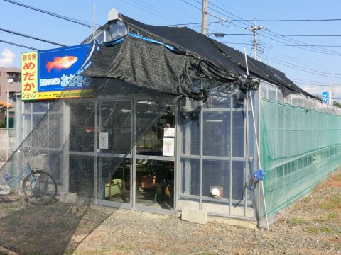 e0045768_2218054.jpg