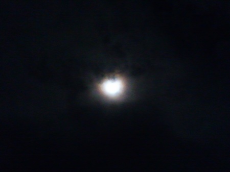 e0161972_1832336.jpg