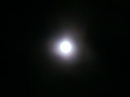 e0161972_18354143.jpg
